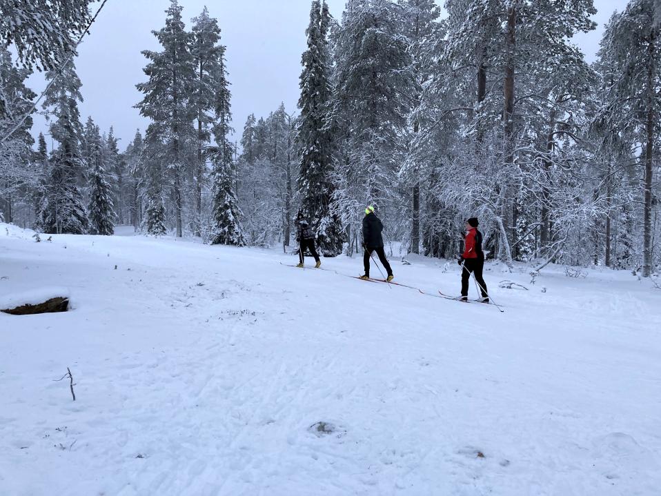 Matkailijat hiihtämässä Ylläksen kupeessa olevalla ladulla.