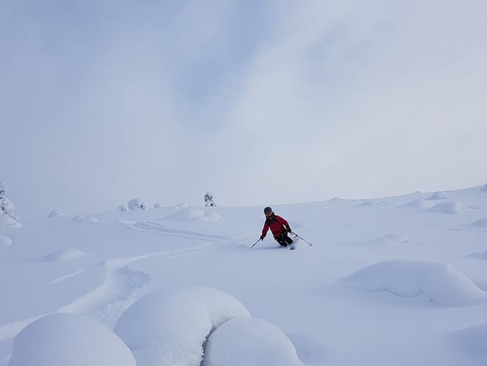 Vapaalaskija laskettelee hoidettujen rinteiden ulkopuolella.