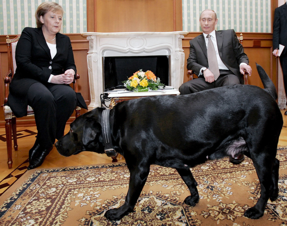 Vladimir Putinin koira tervehtii Angela Merkeliä Sotshissa.