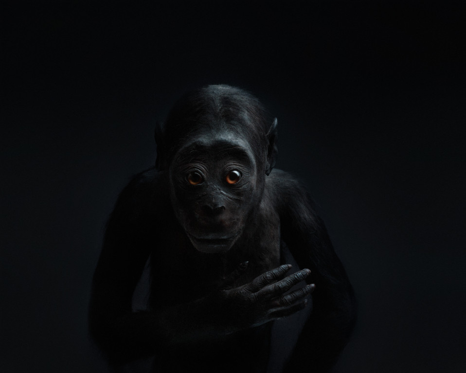 Perttu Saksa: Echo (2012)