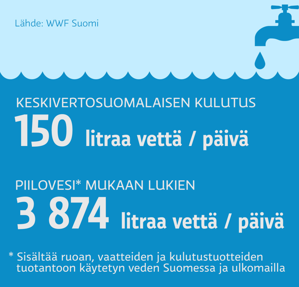 Veden kulutus