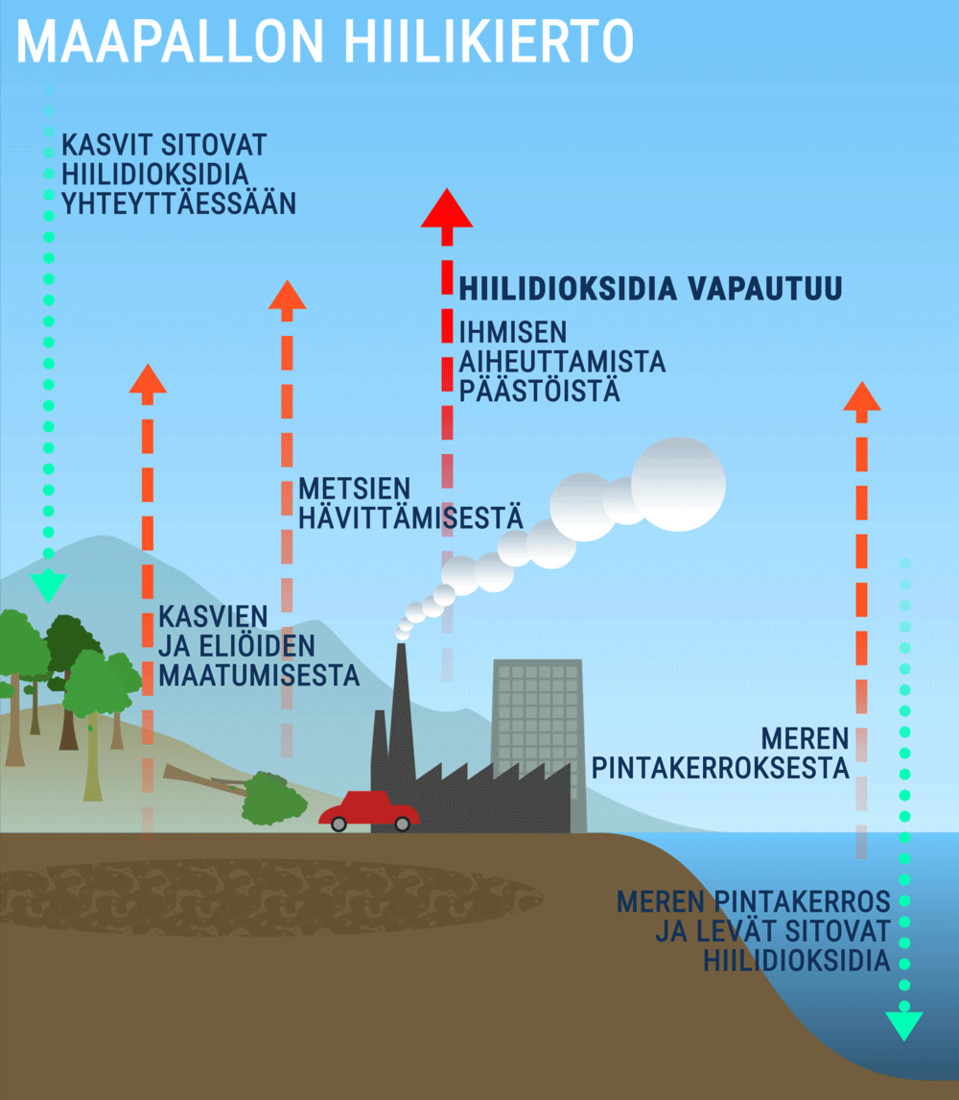 Hiilikiertoanimaatio