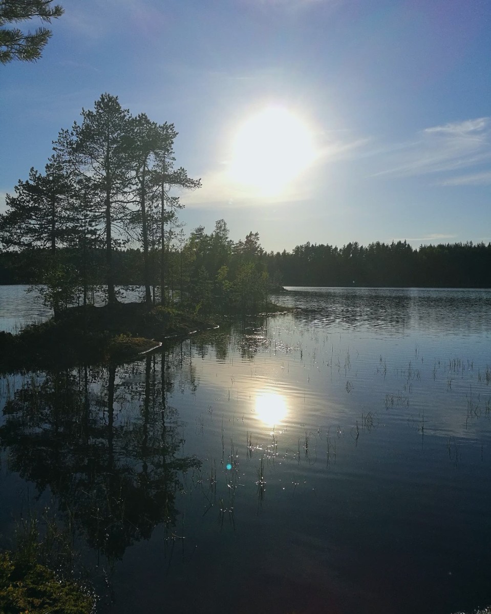 Aurinkoinen järvimaisema Kintulammella Tampereella.