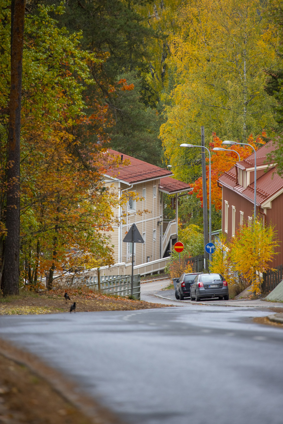 Syksyinen Tampere ja Pispala.