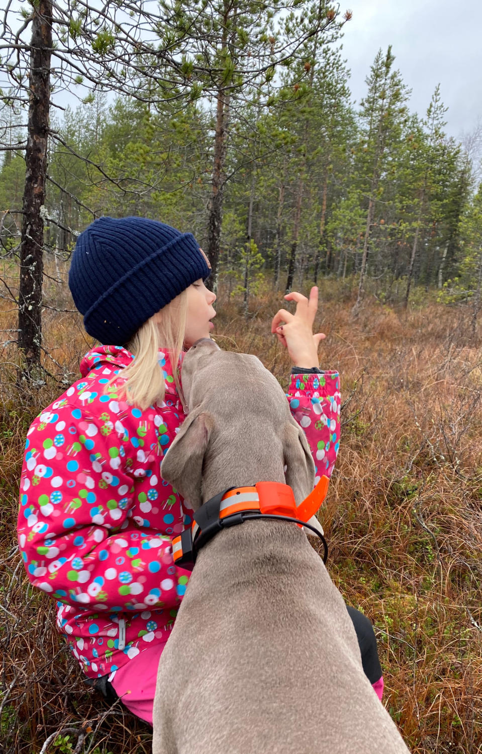 Pinja Kämäräinen ja weimarinseisoja Pablo.