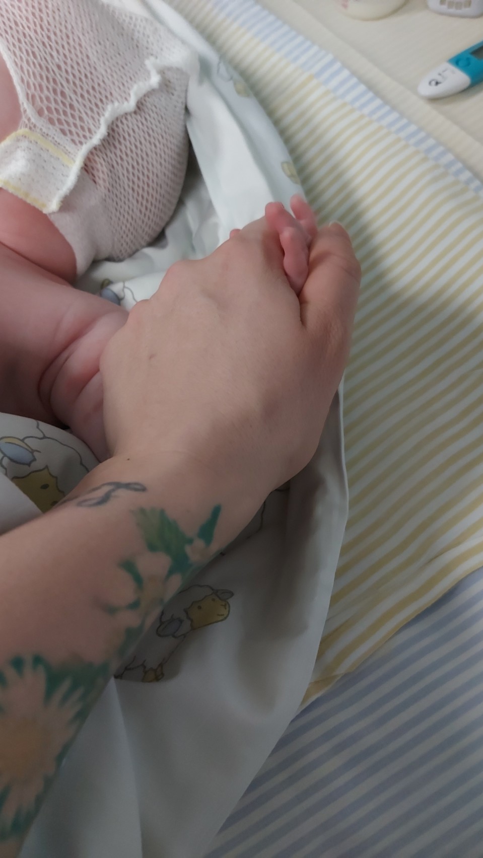 Teija Kauton kaksoset joutuivat noron takia sairaalahoitoon.