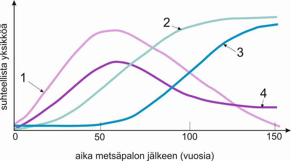 Biologian ylioppilaskokeen kuvaaja, jossa neljä käyrää.