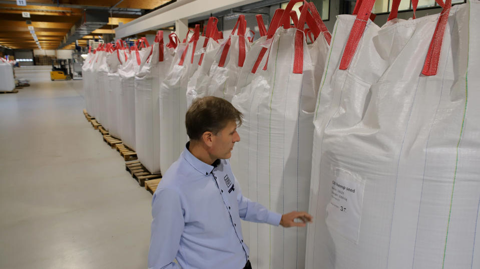 Trans Farmin toimitusjohtaja Jyrki Leppälä Hausjärven Oitin tuotantotiloissa katsoo suurikokoista öljyhampun siementä sisältävää säkkiä.