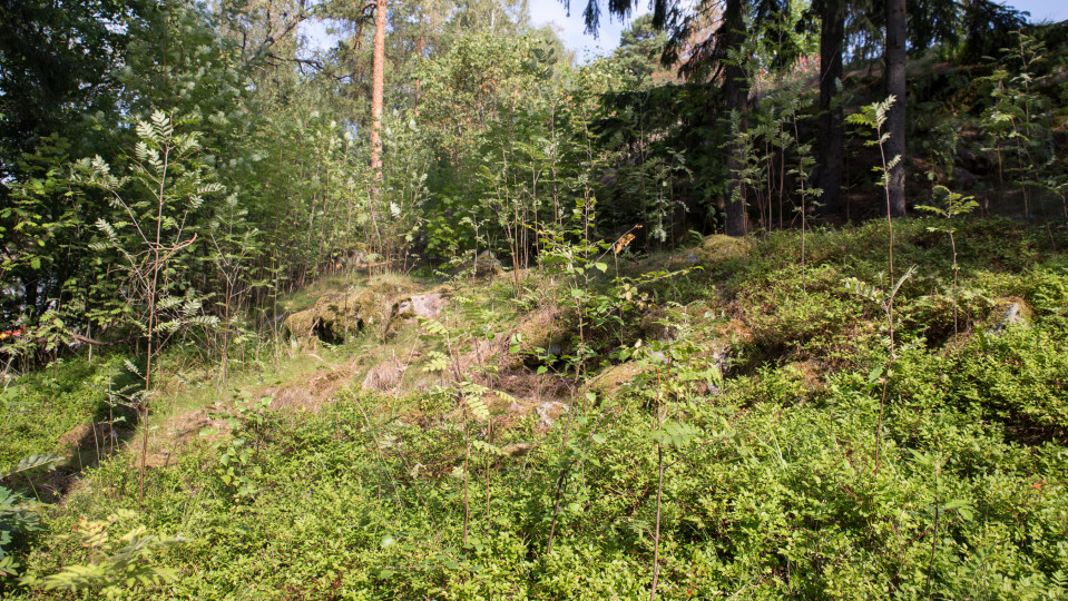 Kivivalli linnavuoren rinteellä