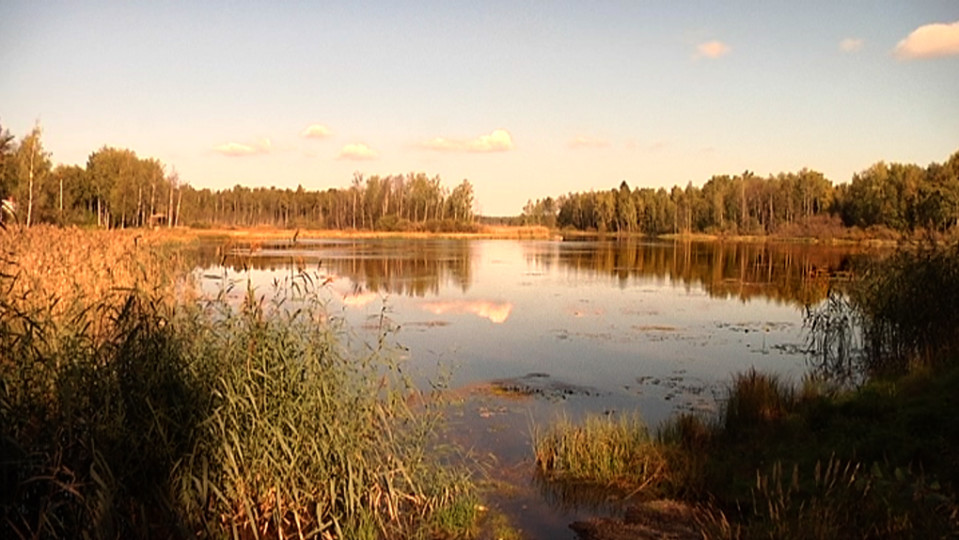 Pukinjärvi