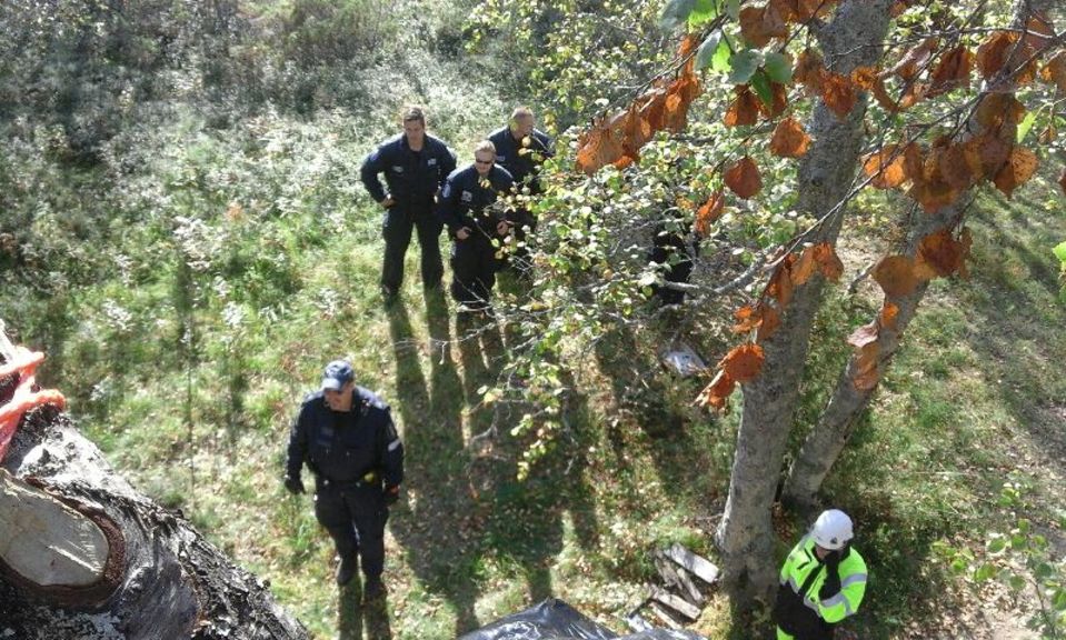 Poliiseja puusta kuvattuna Hanhikiven ydinvoimalatyömaalla Pyhäjoella