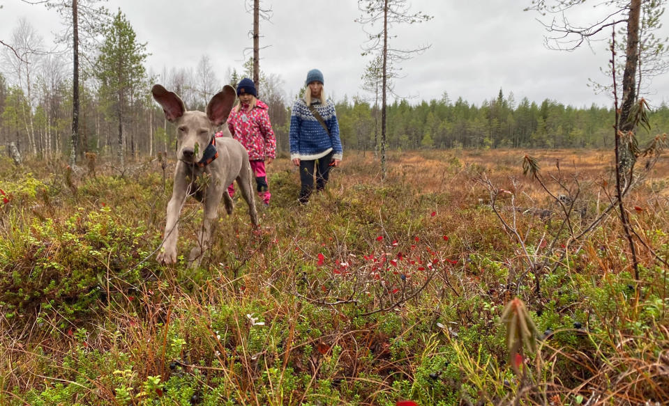 Marjo ja Pinja Kämäräinen sekä weimarinnoutaja Pablo.