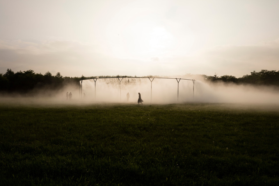 Fog assembly, 2016, Versaillesin palatsi