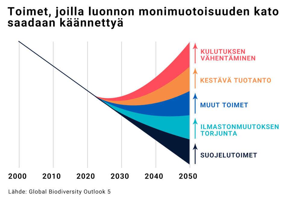 Toimet, joilla luonnon monimuotoisuuden kato saadaan käännettyä.