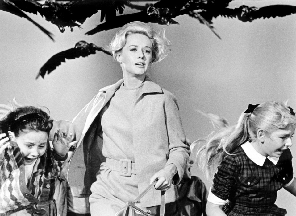 Tippi Hedren Alfred Hitchcockin elokuvassa Linnut.