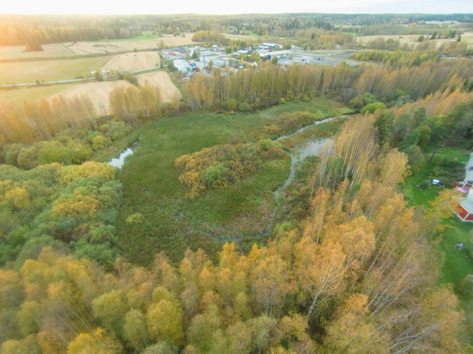 Kasvillisuus on vallannut Moisionlammen, joka on muuttunut käytönnössä suoksi.