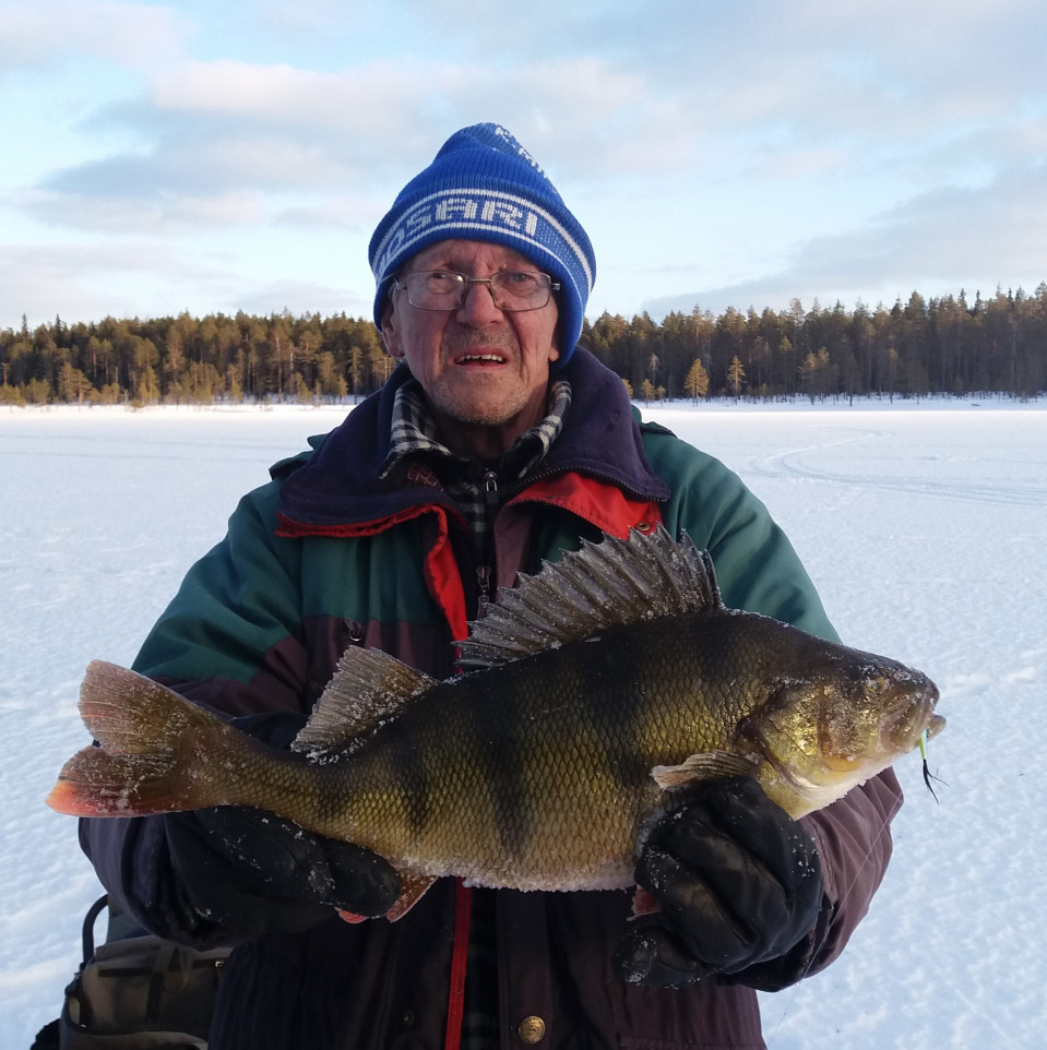 Kusti Mikkonen pitelee yli 1500 gramman ahventa järven jäällä.