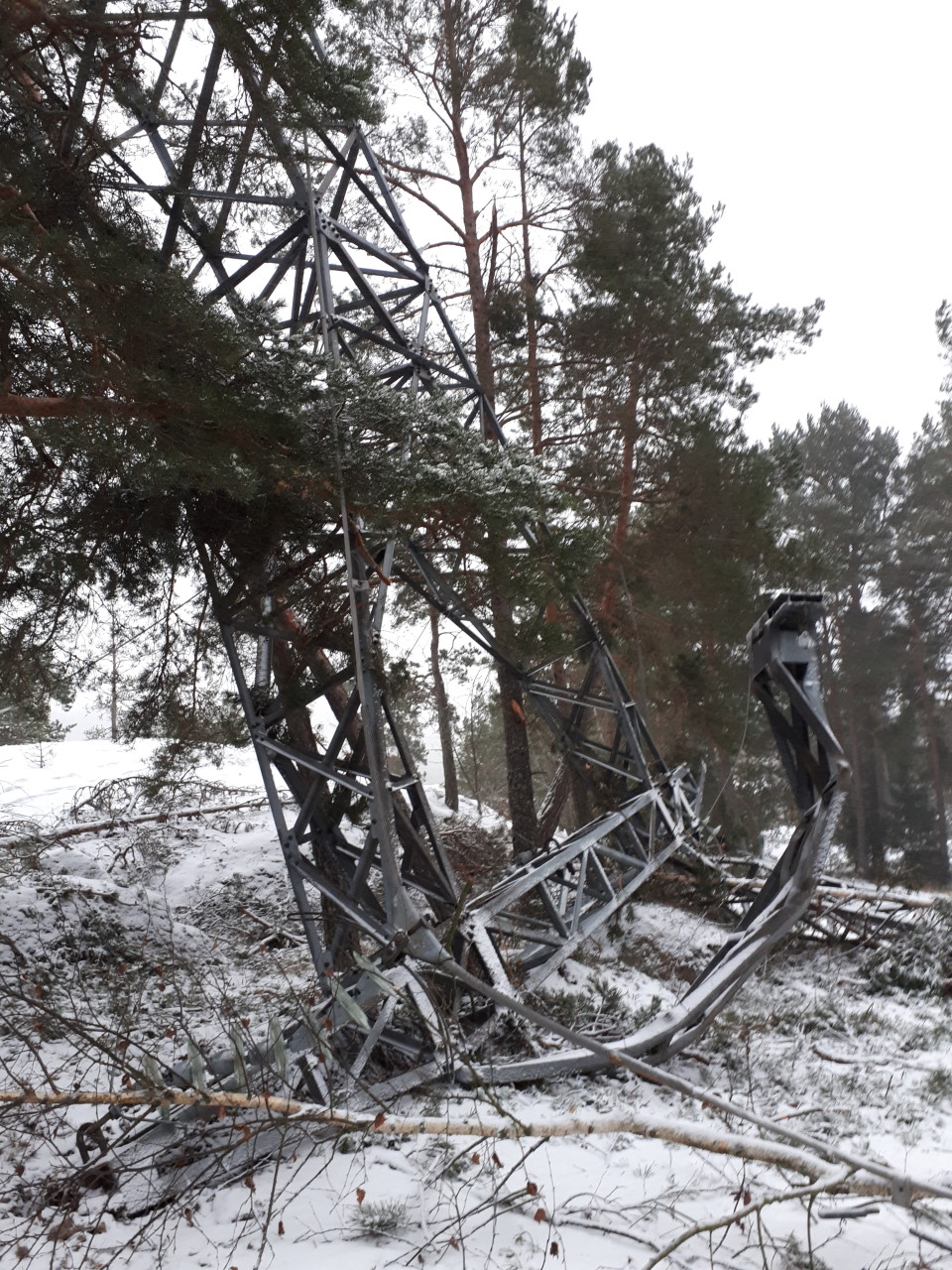 Voimalinja kaatui Naantalin Rymättylässä 12.1.2021