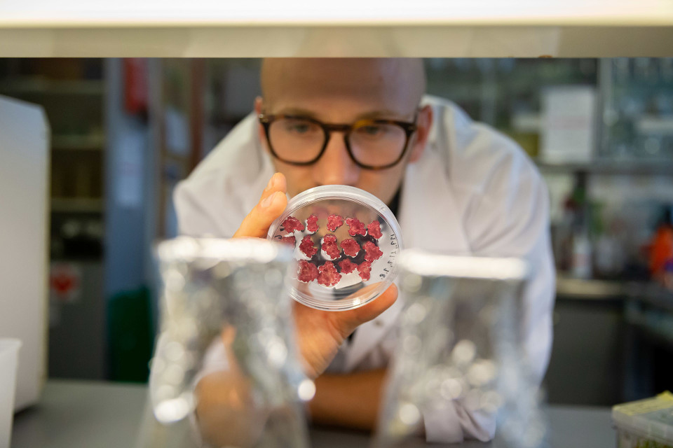 VTT:n tutkija ja biotekniikan tohtori Lauri Reuter, VTT:n laboratorio, Espoo, 21.8.2018.