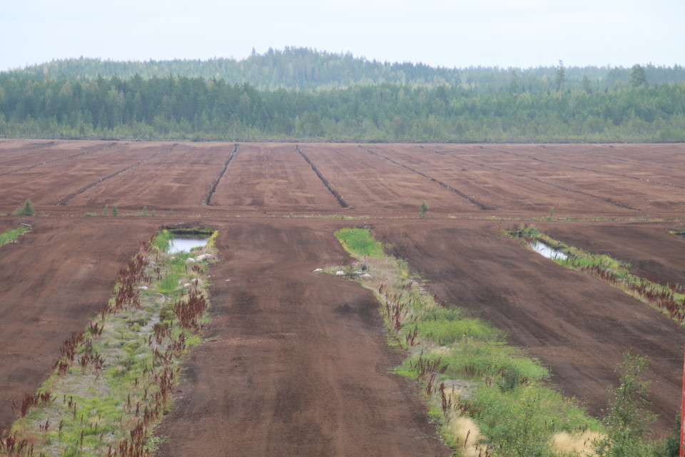 Karhunsuo, Vapo, Kouvola