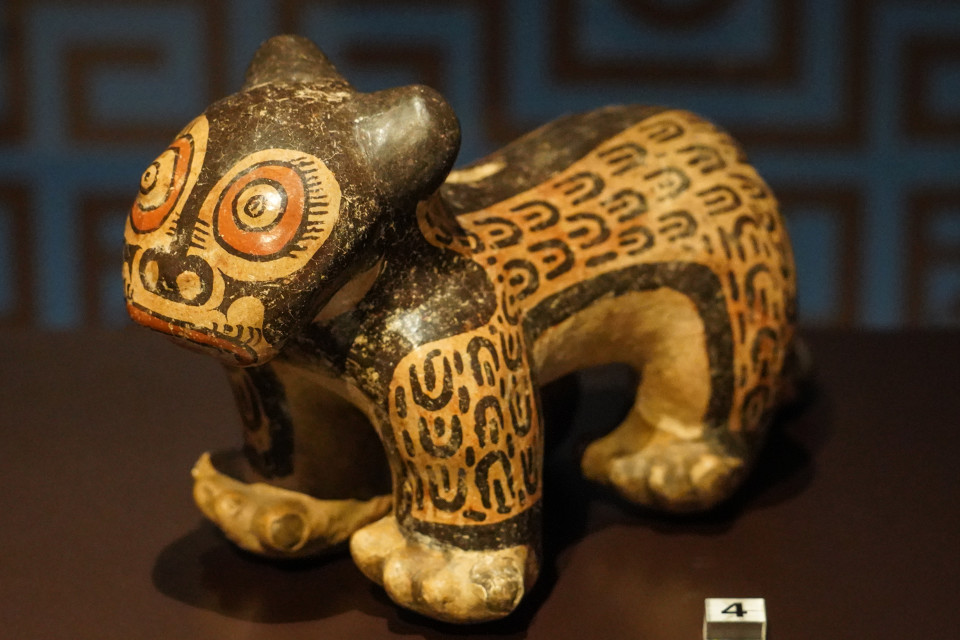 Kansallismuseo, jaguaari