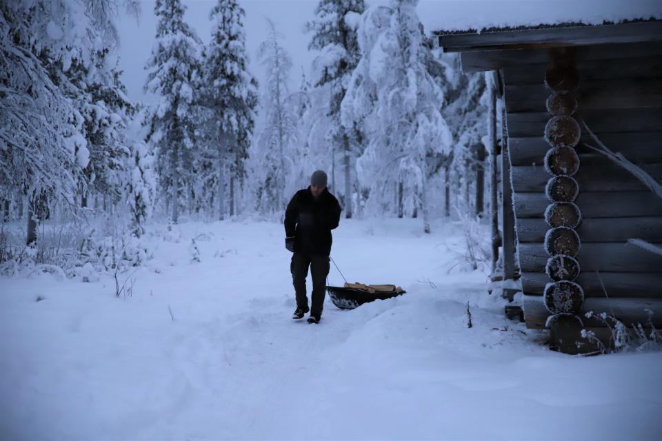 Matthew King vetää ahkiossa puita.