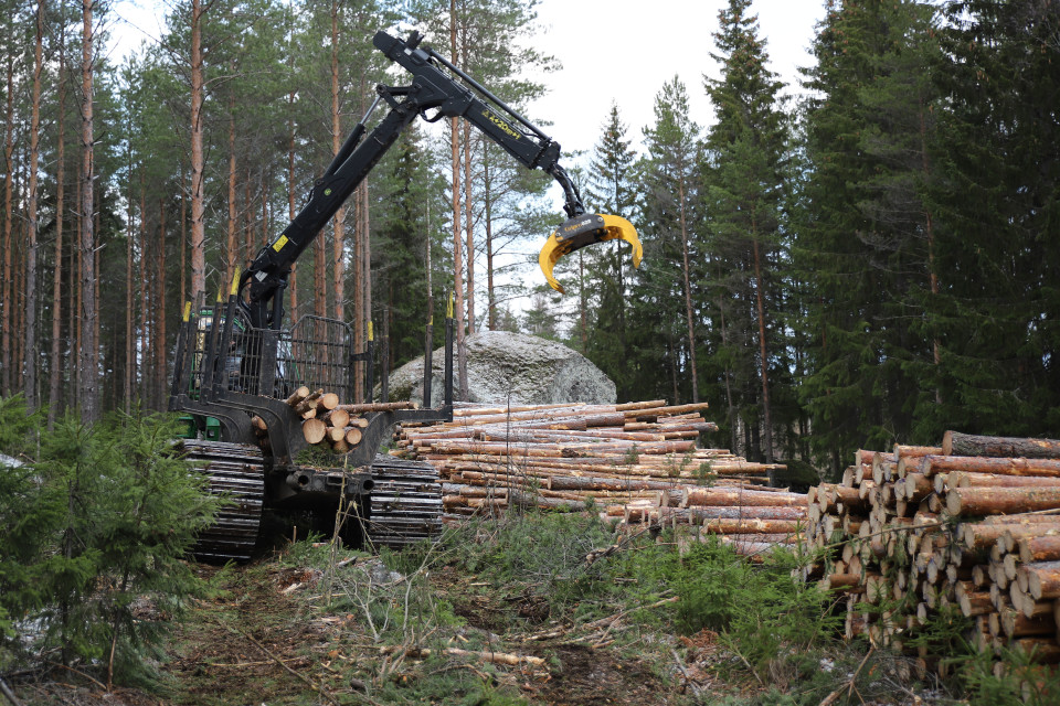 Puunkorjuukone metsässä