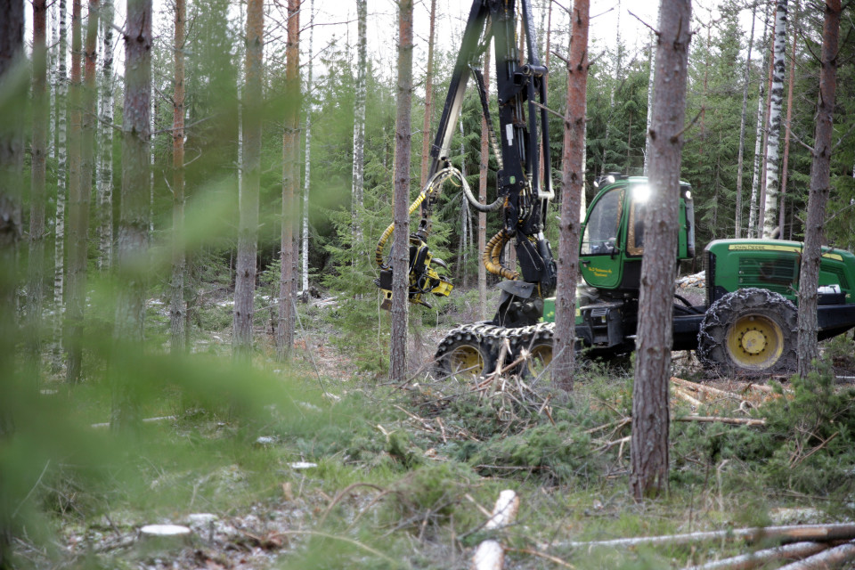 Metsätyökone metsässä