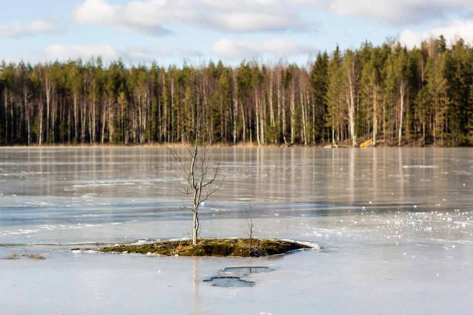 Saarijärvi Kintulammen retkeily- ja luonnonsuojelualueella.