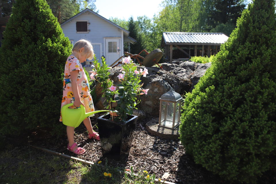 Jippu Tyllinen kotipihallaan Kouvolan Anjalassa.