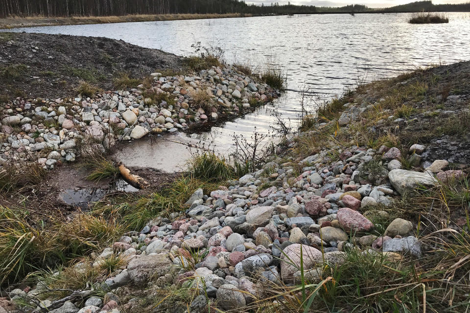 Kosteikko Kuivasjärven valuma-alueella Parkanossa