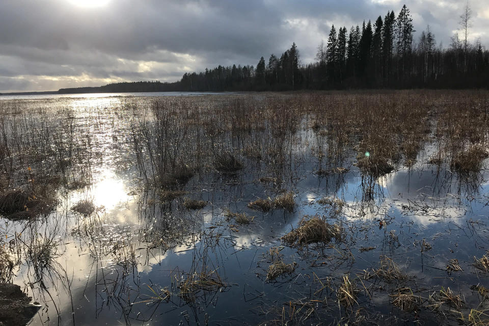 Kuivasjärven pohjoispään rehevöitynyttä rantaa Parkanossa