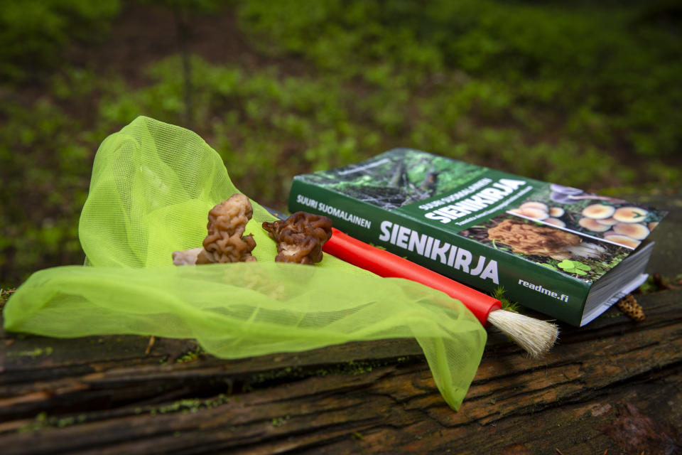 Sienikirja, sieniveitsi ja korvasieni.
