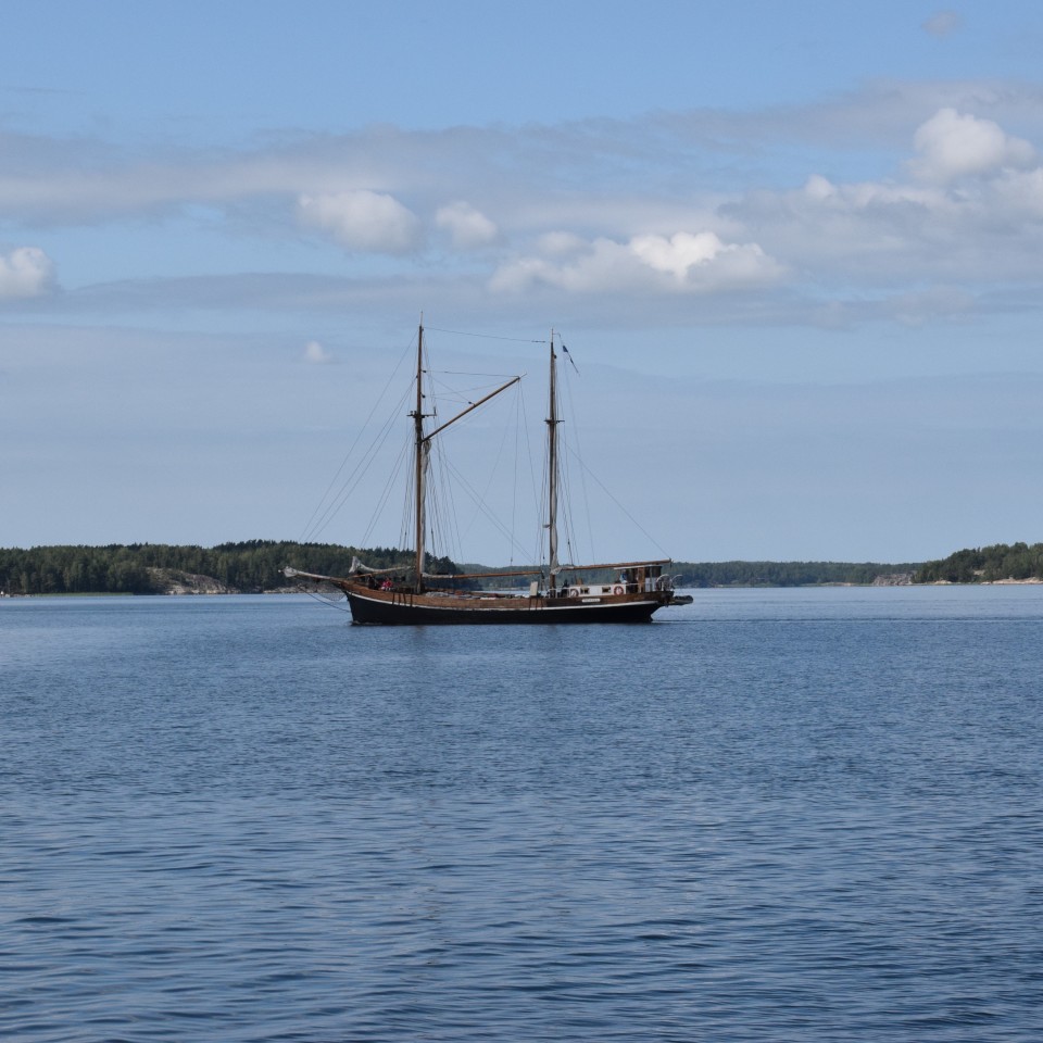 Purjevene kesäisellä merellä.
