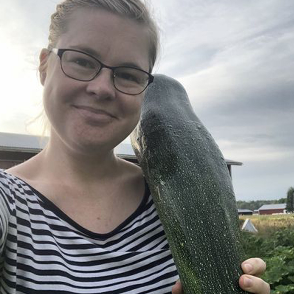 Halon kokoinen kesäkurpitsa painaa 3,645 kiloa. Kuvan lähettäjä: Kaisa Savolainen.