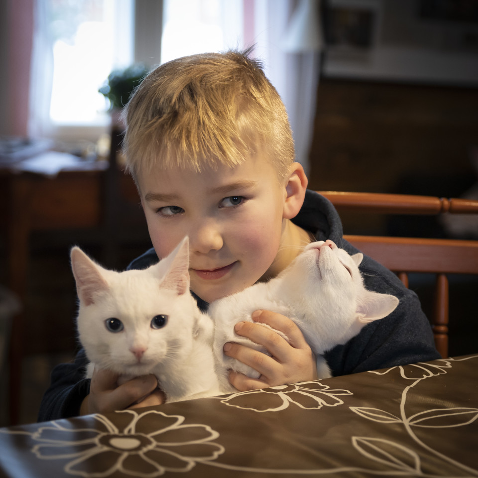 Lapsi pitelee sylissään kahta valkoista kissaa.