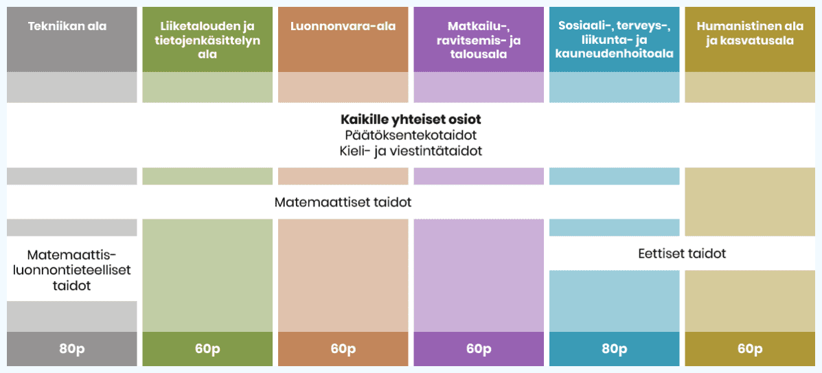 kaavio amk-opiskelijavalintakokeesta