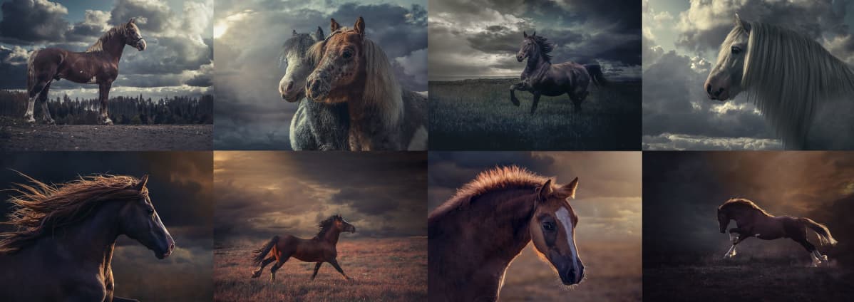 Tuomaristo kehui Johanna Sjövallin vangitsemia tarinallisia hetkiä Magic of Horses -kuvasarjassa.