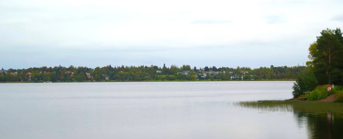 Järven takana näkyy niemi, jolla sijaitsee Ikaalisten keskustaajama.