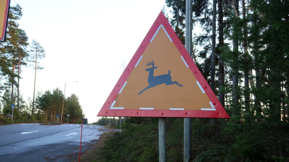 En varningstriangel som varnar för vitsvanshjort.