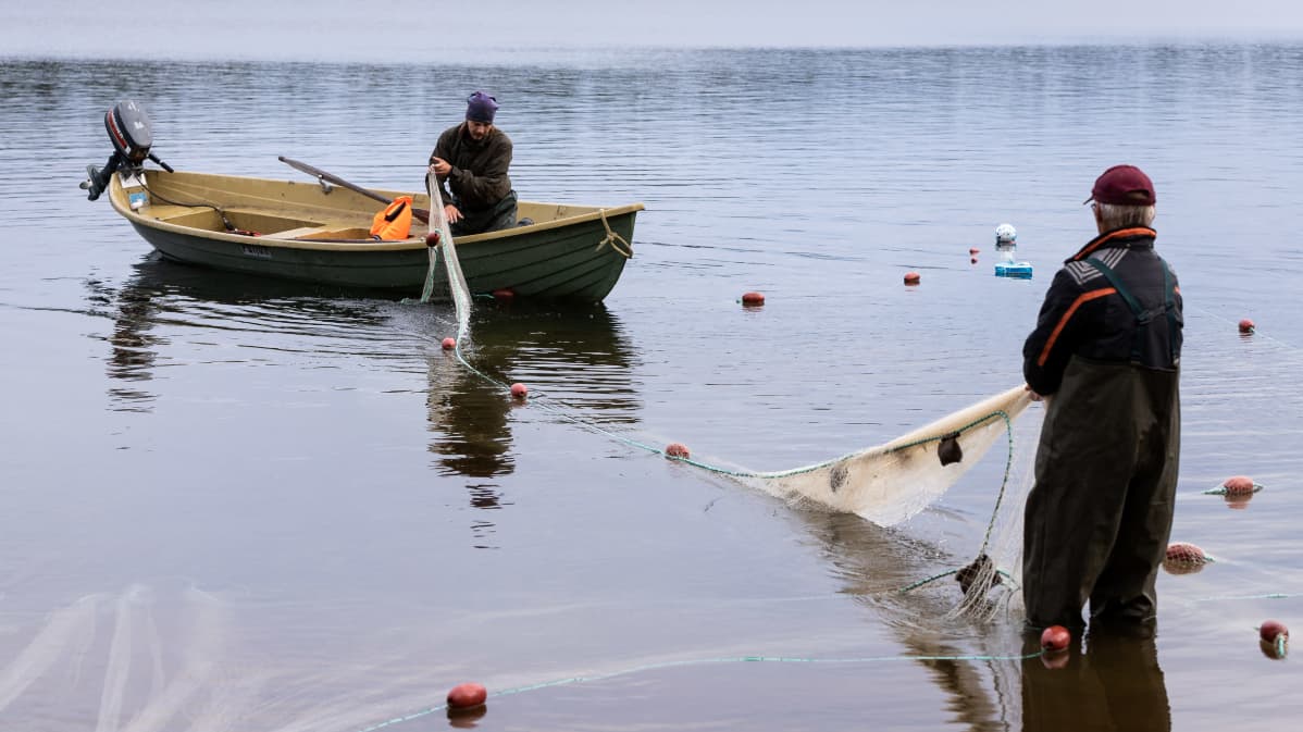Tauno Porsanger ǩieʹssmen nueʹtt Čeʹvetjääuʹrest. Tuomas Kiprianoff suâpp nueʹtt.