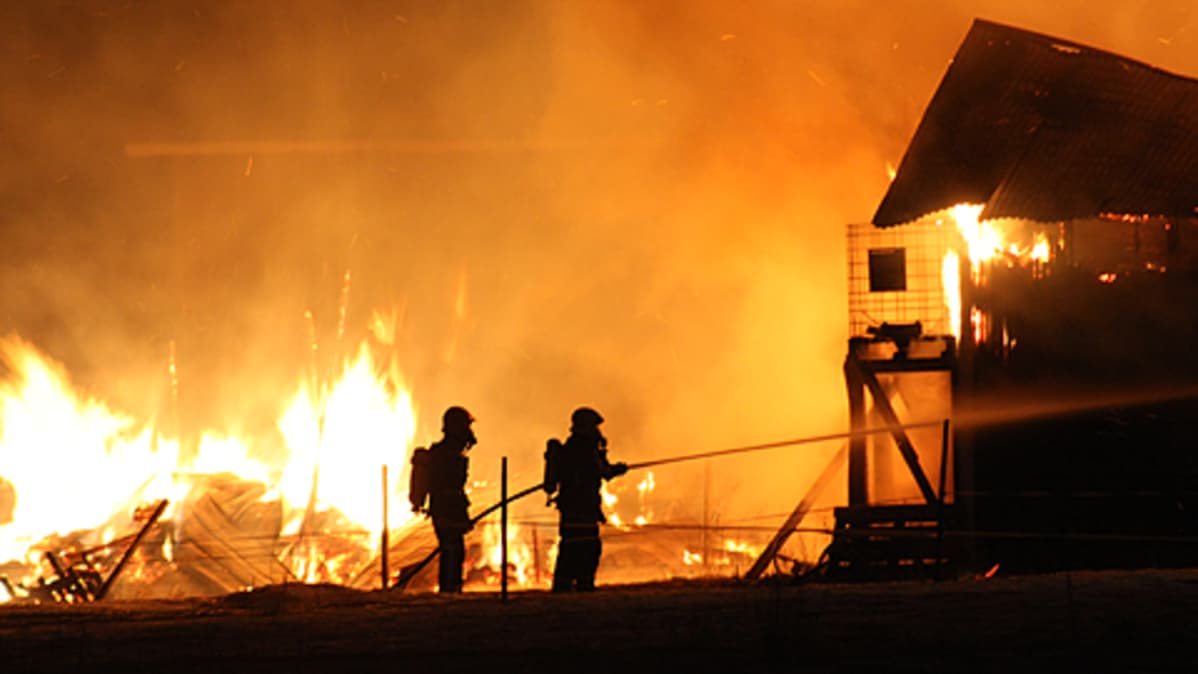 kypsä NL porno kuvia