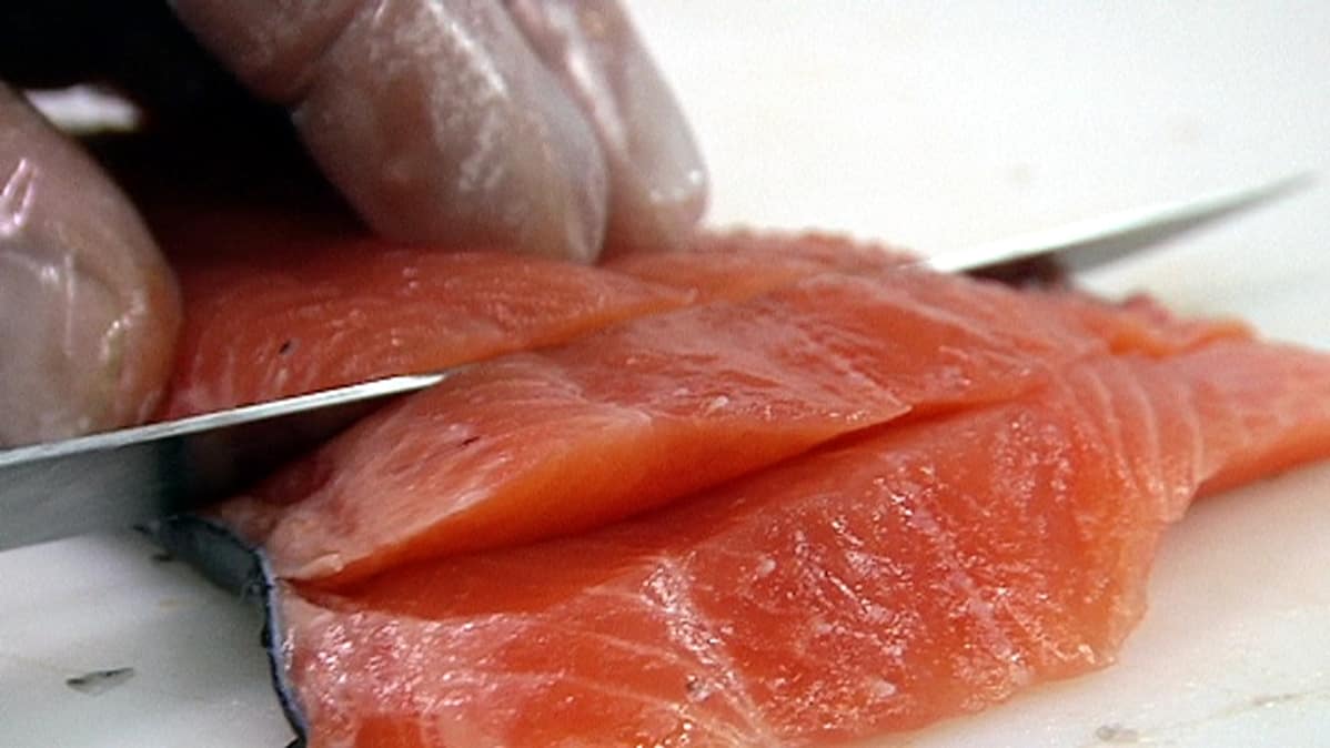 suomalainen kirjolohi suomalainen kirjolohi
