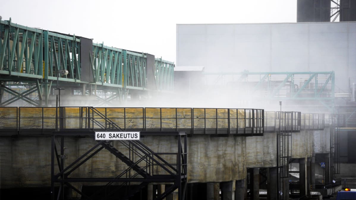 Teini nänni suku puoli