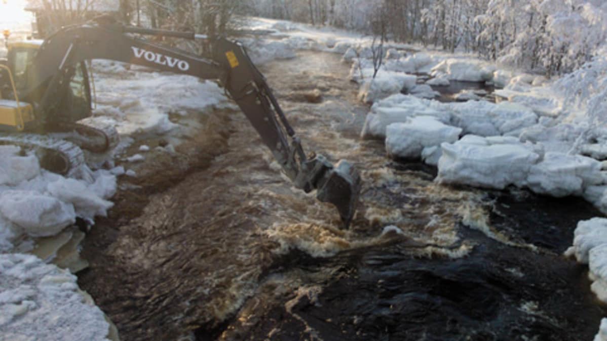 musta lesbo chat-huone