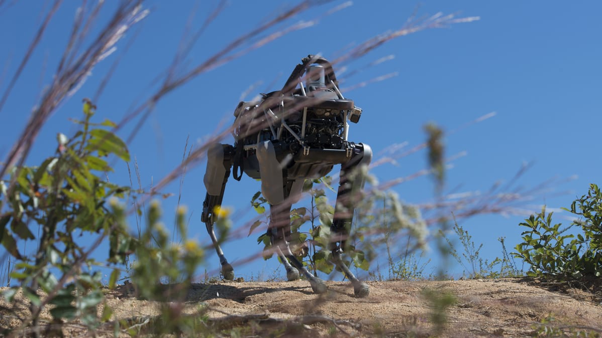 Nelijalkainen robotti Spot esittelyssä Quanticon merijalkaväen tukikohdassa Viginiassa syyskuussa 2015.