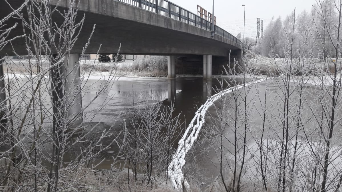Salonjoki