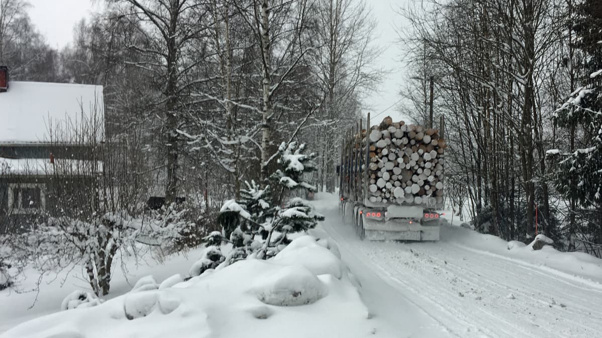 Tukkirekka ajaa kapeaa tietä haja-asutusalueella talvella.