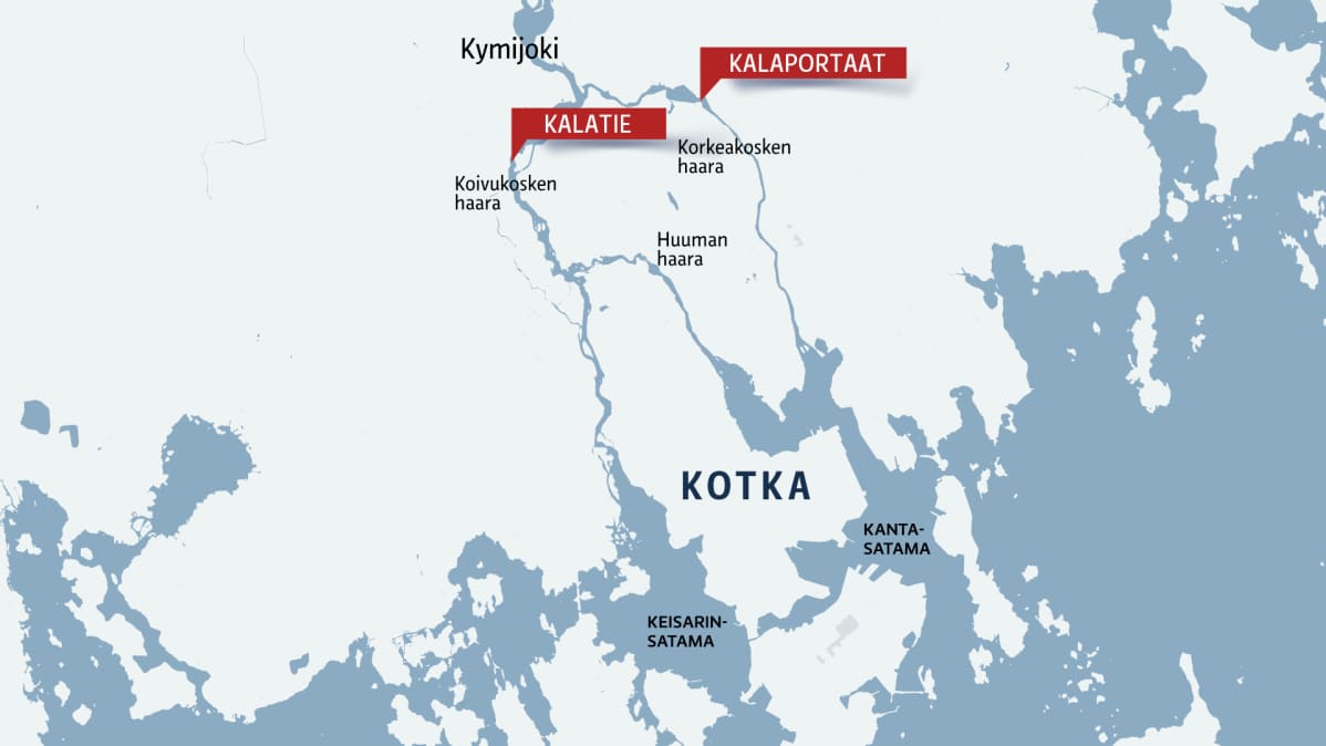 Iso karvainen haara