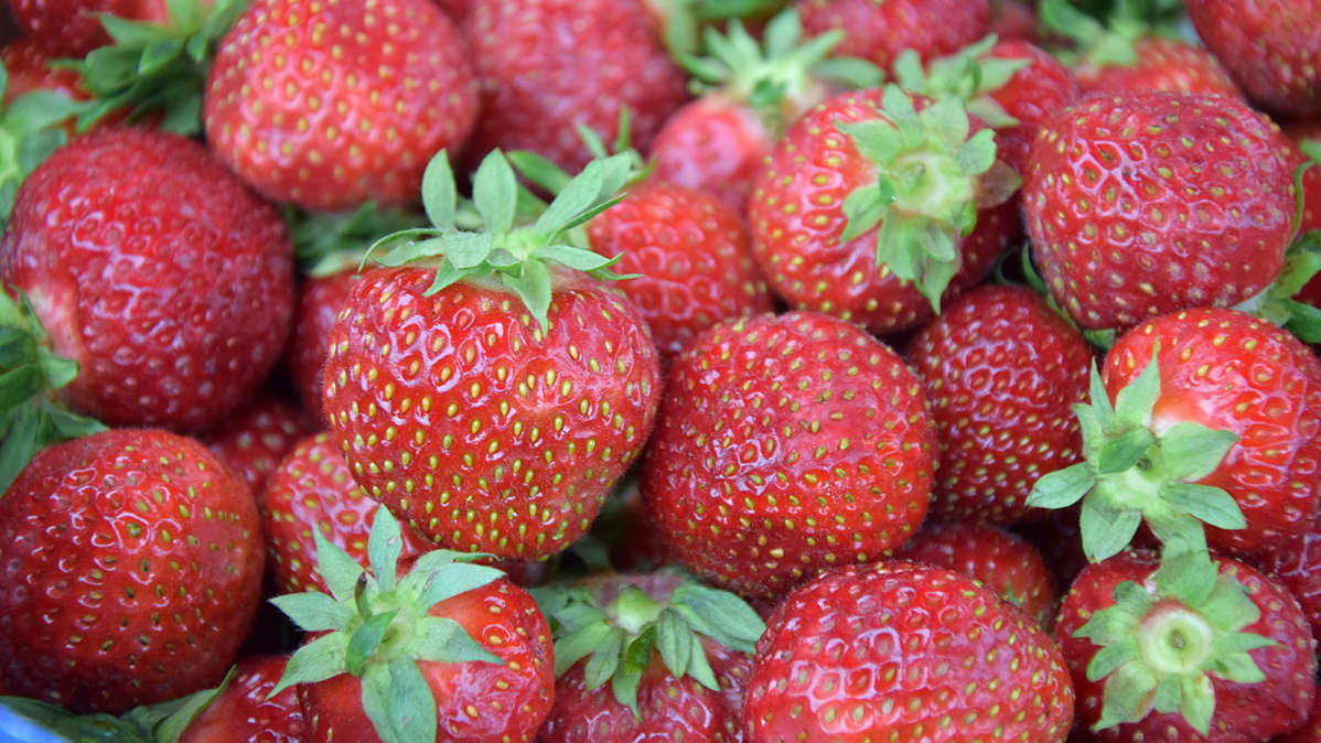 srilankalainen XXX videot com